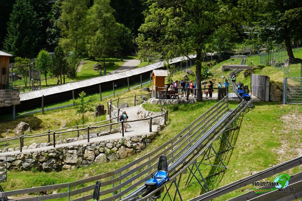 Alpine Coaster - Steinwasen Park