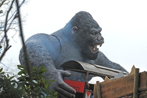 Bobbejaanland Galerie