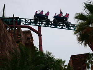 Busch Gardens Tampa Galerie