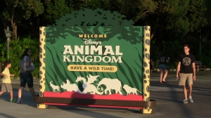 Disneys Animal Kingdom Galerie