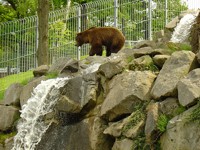 Wild- und Freizeitpark Klotten Galerie