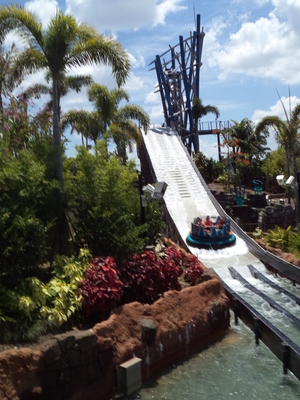 Mini-Galerie Seaworld Orlando Foto 3