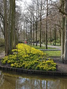 Mini-Galerie Keukenhof Foto 1