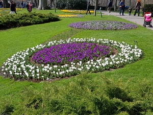 Mini-Galerie Keukenhof Foto 11