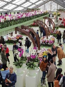 Mini-Galerie Keukenhof Foto 12