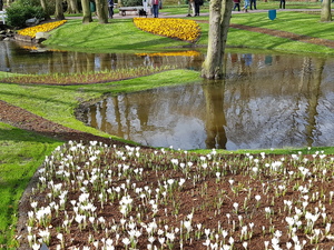 Mini-Galerie Keukenhof Foto 3