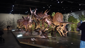 Naturalis Galerie