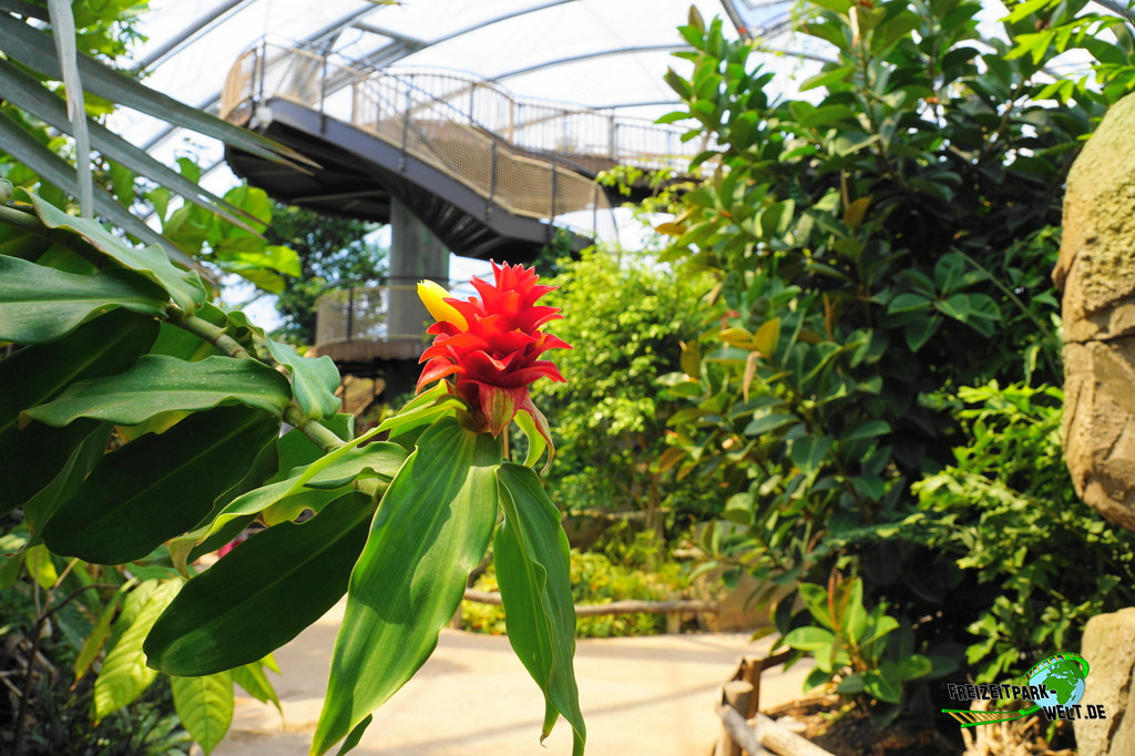 Meranti-Halle - Allwetterzoo Münster