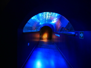 Sevilla Aquarium Galerie