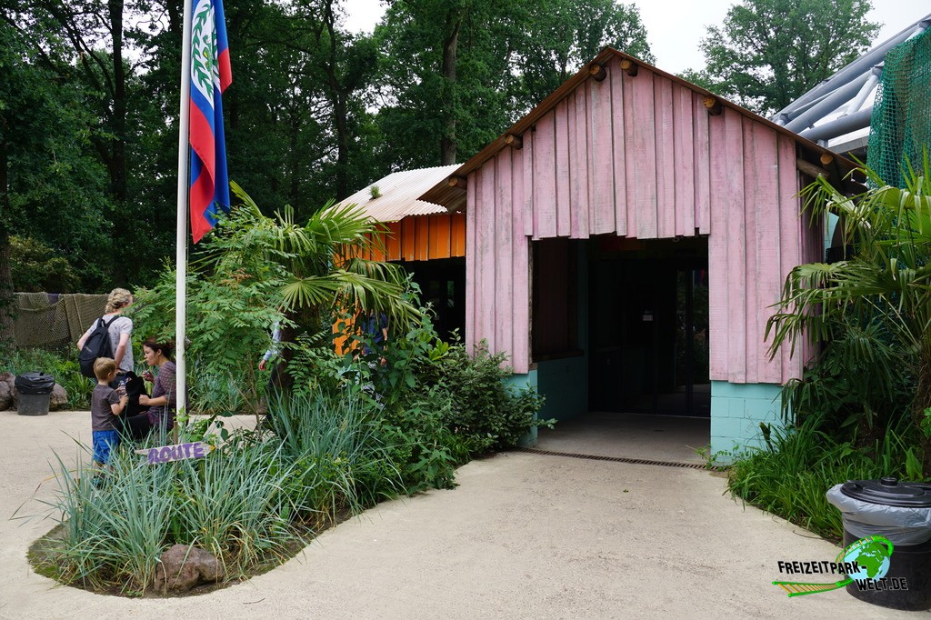 Mangrove - Burgers' Zoo