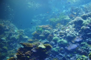 Burgers' Zoo Galerie