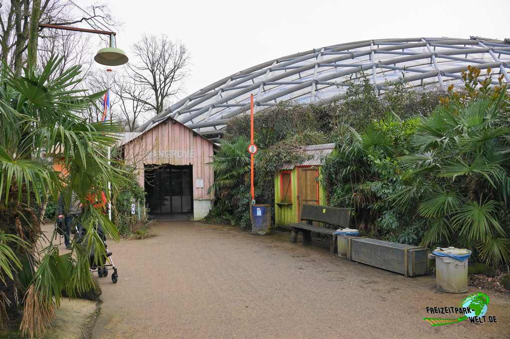 Mangrove - Burgers' Zoo
