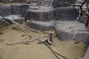 Burgers' Zoo Galerie