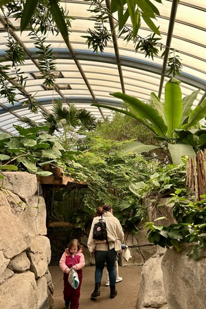 Mini-Galerie Kölner Zoo Foto 1