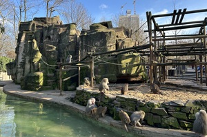Mini-Galerie Kölner Zoo Foto 2