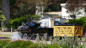 Mini-Galerie San Francisco Zoo Foto 4