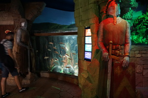 Gardaland SEA LIFE Galerie