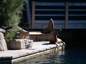 Mini-Galerie Tiergarten Nürnberg Foto 5