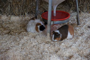Tierpark + Fossilium Bochum Galerie
