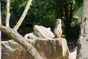 Tierpark Hamm - Highlights, Tipps & Review zum Besuch im Zoo / Tierpark |  Freizeitpark-Welt.de