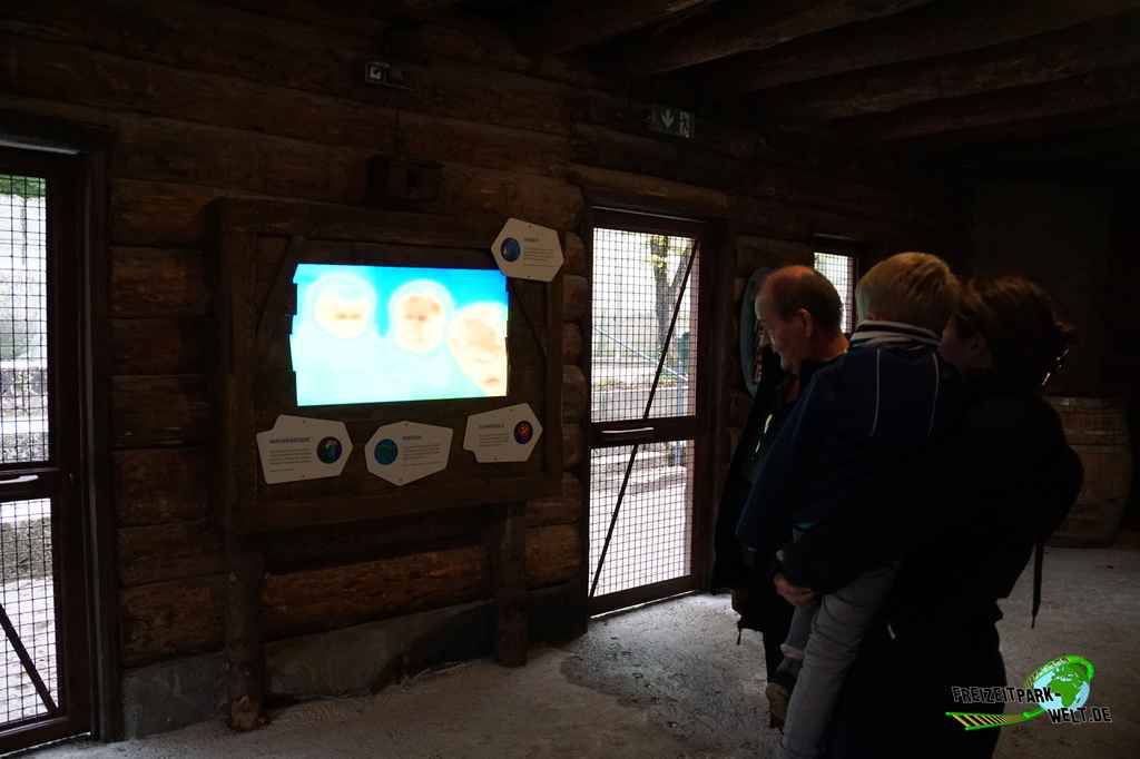 Polarwelt - Tierpark Hellabrunn