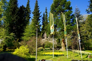 Vogelpark Heiligenkirchen Galerie