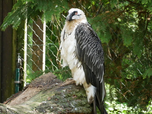 Weltvogelpark Walsrode Galerie