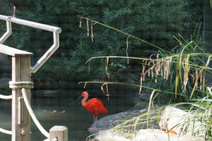 Zoo Dortmund Galerie