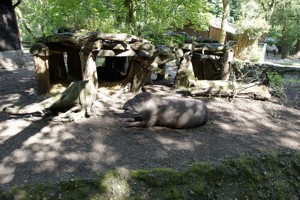 Zoo Duisburg Galerie