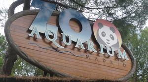 Zoo Madrid Galerie