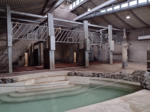 Zoo Neunkirchen Galerie