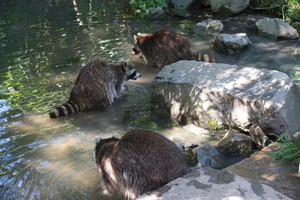 ZOOM Erlebniswelt Galerie